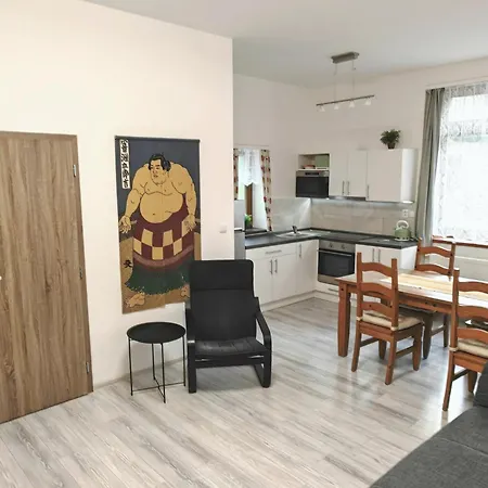 Apartman U Suma Rymarov Exterior photo
